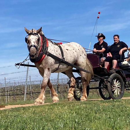 Penzion Horse Farm Lechovice Esterno foto