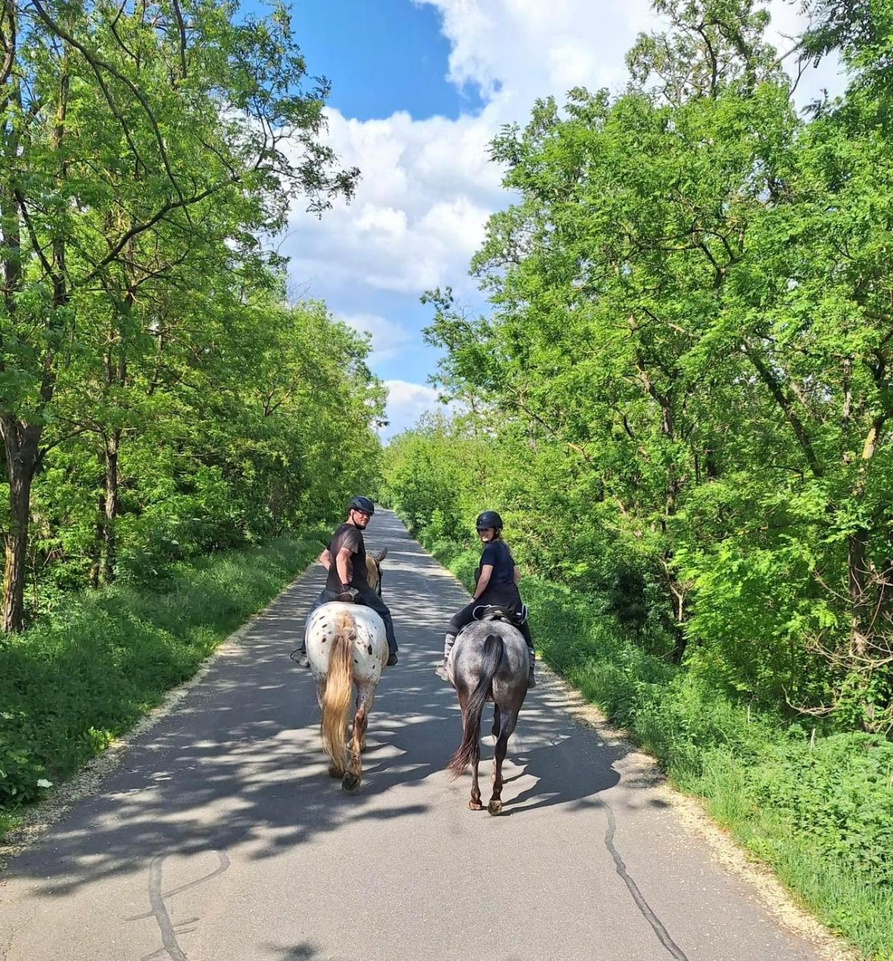 Penzion Horse Farm Lechovice Esterno foto